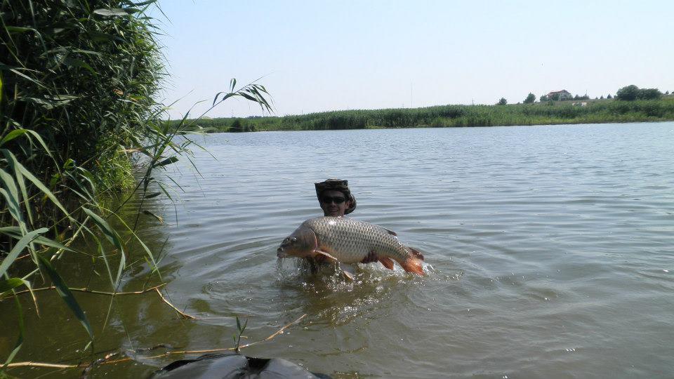 CONCURS LIKE-URI  - VOT PE FACEBOOK  - Petrisor Anghel
Tancabesti
18,5 kg